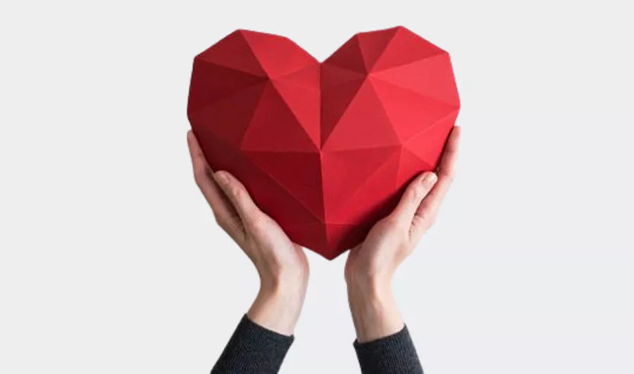 Coração de Portugal: um projeto para a Insuficiência Cardíaca