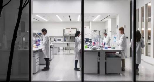Cientistas a trabalhar no laboratório